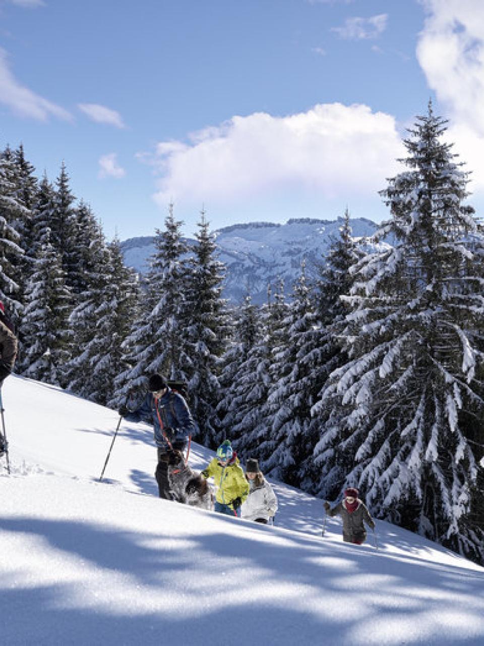 Schneeschuhwanderung Bregenzerwald