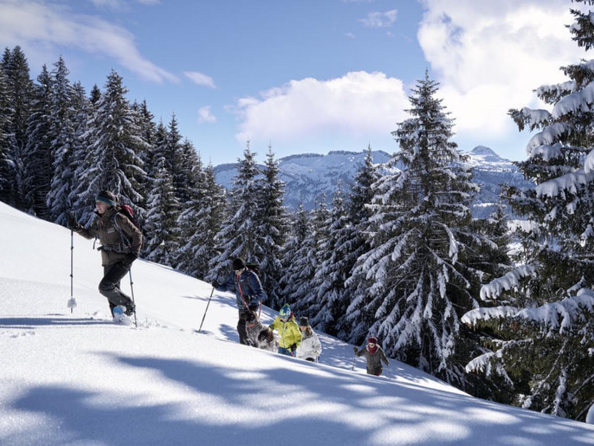 Schneeschuhwanderung Bregenzerwald